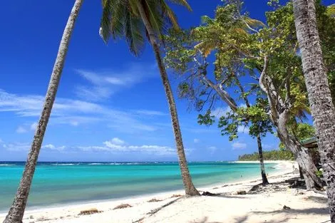 Circuit Magie de la Guadeloupe