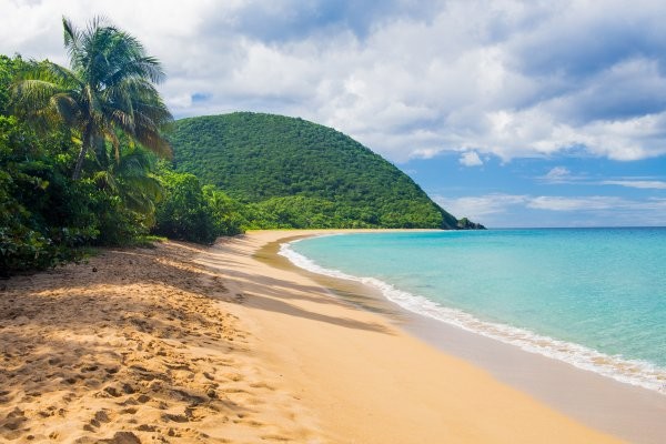 Plage - Circuit Nos Amis Gwadloupéens 3* Pointe A Pitre Guadeloupe