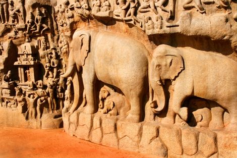 Circuit Les Incontournables de l'Inde du Sud 3* photo 12