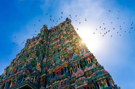 Inde : Circuit Merveilles de l'Inde du Sud 2025