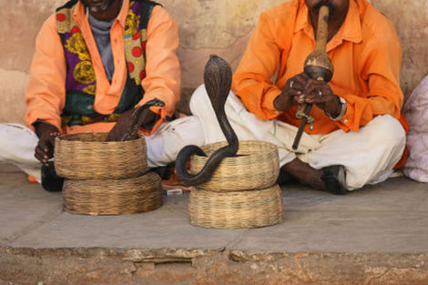 Circuit Merveilles de l'Inde du Nord photo 9