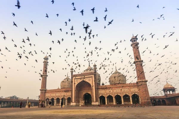 Monument - Circuit Merveilleuse Inde du nord Delhi Inde