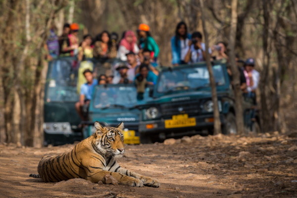 Ranthambhore