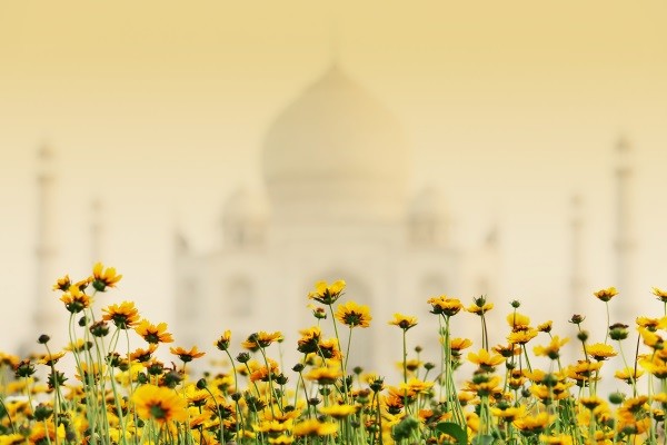 Taj Mahal