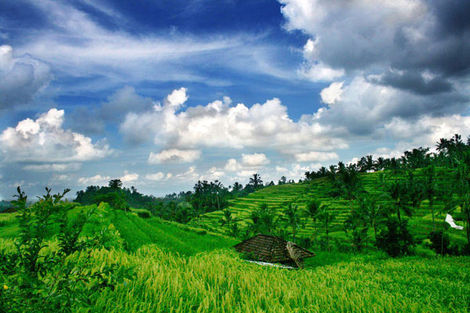 Nature - Circuit L'Indonésie en Version Originale 3* Yogyakarta Indonesie