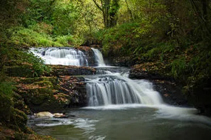 Irlande-Dublin, Circuit Splendeurs de l'Irlande