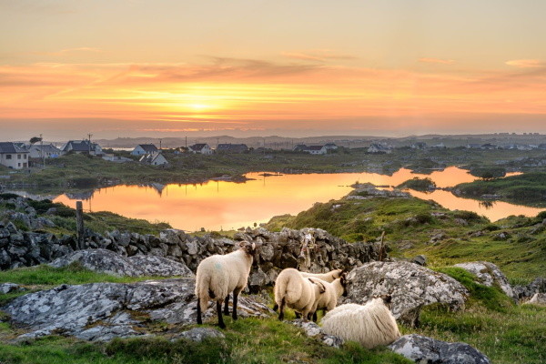 Irlande : Circuit Balade Irlandaise en petit groupe