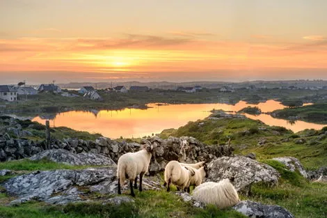 vol+hotel Circuit BALADE IRLANDAISE EN PETIT GROUPE Irlande Dublin