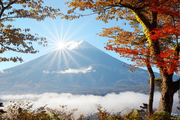 Japon : Circuit Mangas et Capitales, le Japon en Famille & en Liberté