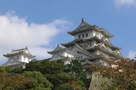 Circuit Les Incontournables du Japon photo 13