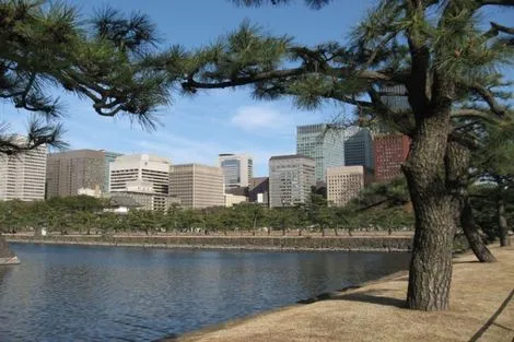 Circuit Les Incontournables du Japon photo 8