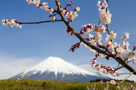 Circuit Les Incontournables du Japon