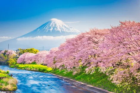 Japon : Circuit Merveilles Nippones et Tokyo à votre guise **SPECIAL EXPO