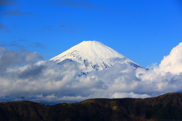 Japon : Circuit Toriis et Traditions Nippones