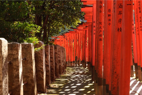 Circuit Merveilles du Japon 3* photo 5