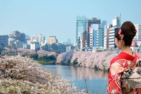 Circuit Premiers Regards Japon