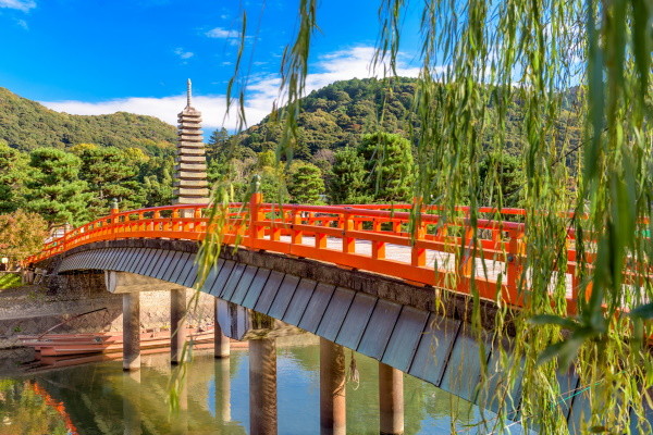 Japon : Circuit Capitales, Temples et Île Sacrée
