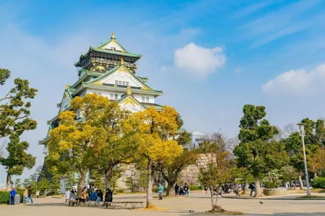 Japon : Circuit En liberté le Japon des sensations