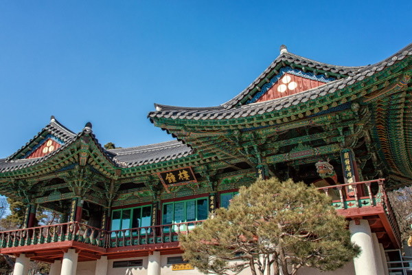 Japon : Circuit Japon-Corée