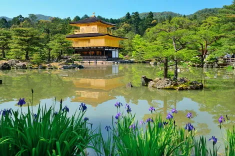Japon : Circuit Capitales Enchantées en Liberté & Ryokan, de Tokyo à Kyoto