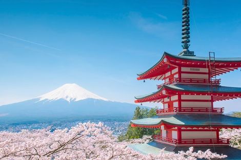 Circuit Immersion en Terres Japonaise