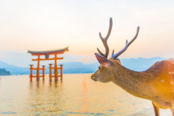 Sanctuaire d'Itsukushima