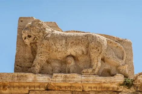 Monument - Circuit Découverte de la Jordanie Amman Jordanie