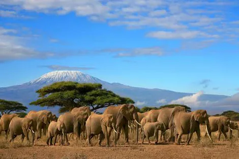 Circuit Splendeurs du Kenya