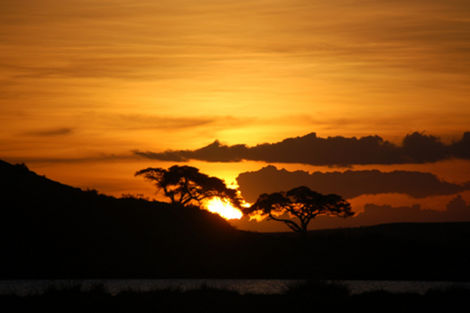 Circuit 1er regard Kenya photo 3