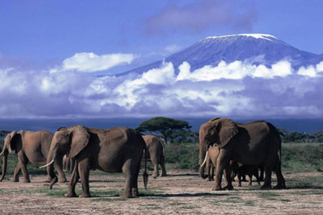 Circuit 1er regard Kenya photo 6