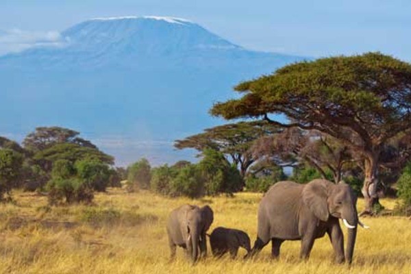 Rencontres en ligne à Mombasa
