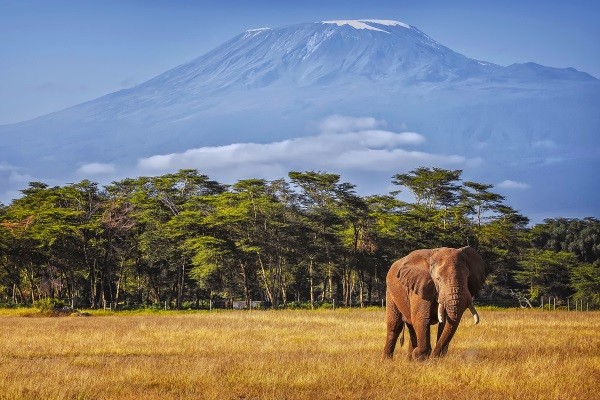 Kilimandjaro