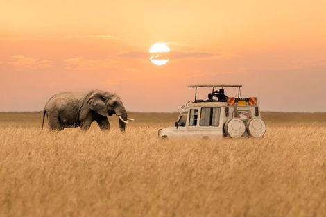 Kenya : Circuit de la Vallée du Grand Rift à Masai Mara