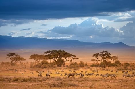 Circuit Découvertes Kenyanes - Limité à 24 pers 3* photo 1
