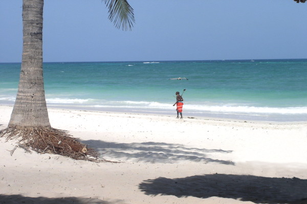 Kenya : Circuit Merveilles du Kenya Samburu & Balnéaire Plage de Diani - Limité à 6 pers./véhicule