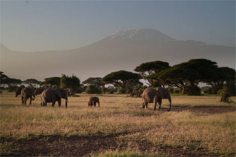 Circuit Les Incontournables du Kenya 3* photo 1