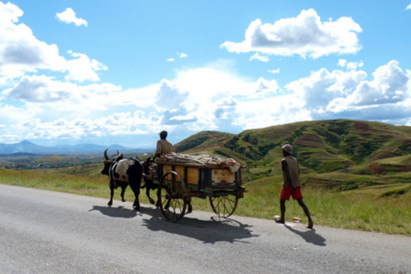 Photo - Madagascar Solidaire en Terre Malgache