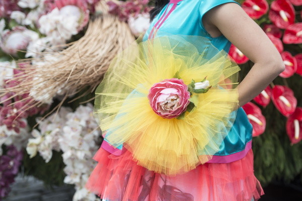 Fête des Fleurs - Fête des Fleurs à Madère