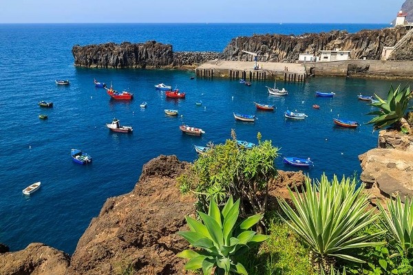 Camara de lobos