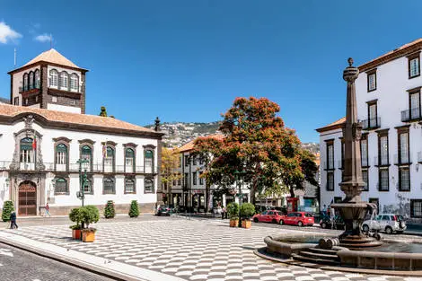 Madère : Circuit Madère Authentique : entre falaises et levadas