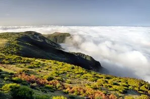 Madère-Funchal, Circuit Caniçal Saveur Nature