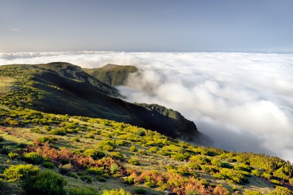 Haut plateau à Madère