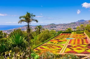 Madère-Funchal, Circuit Au cœur de Madère – Logement Jardins d'Ajuda