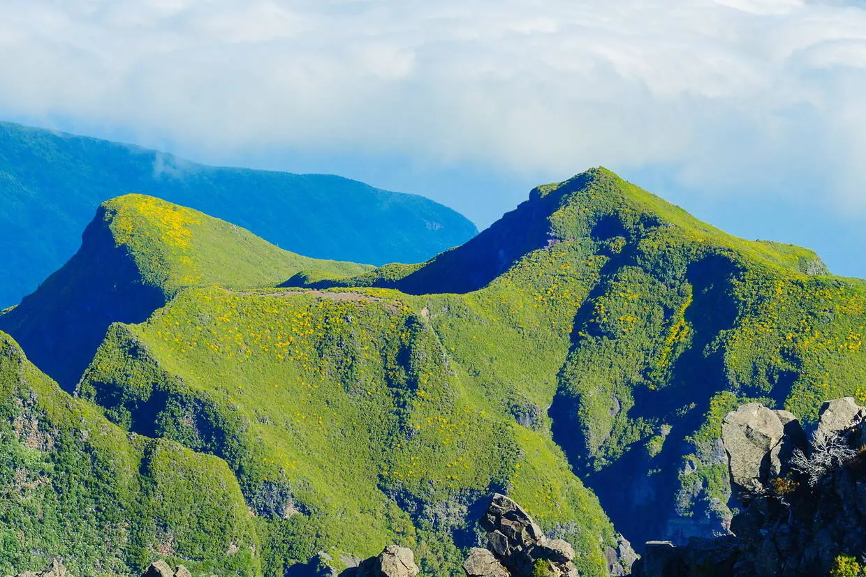 Madère : Circuit Nature et traditions, extension 3 nuits au Pestana Casino Park Premium Ocean & Spa