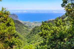 Madère-Funchal, Circuit Randonnées entre levadas et forêts