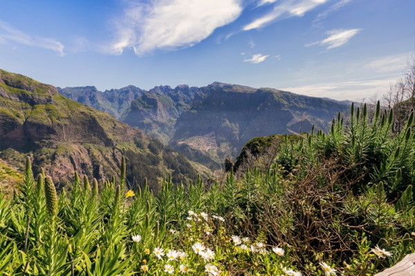 Madère : Circuit Séjour Découverte Top Culture à Machico