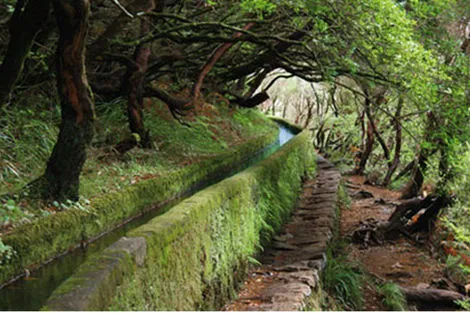 Nature - Circuit Funchal Saveur Nature 3* Funchal Madère
