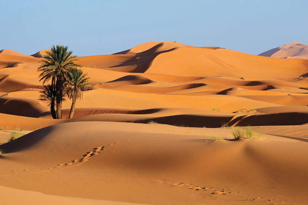 Maroc : Circuit Mon Circuit Privé Aventure en 4x4 dans le sud Marocain