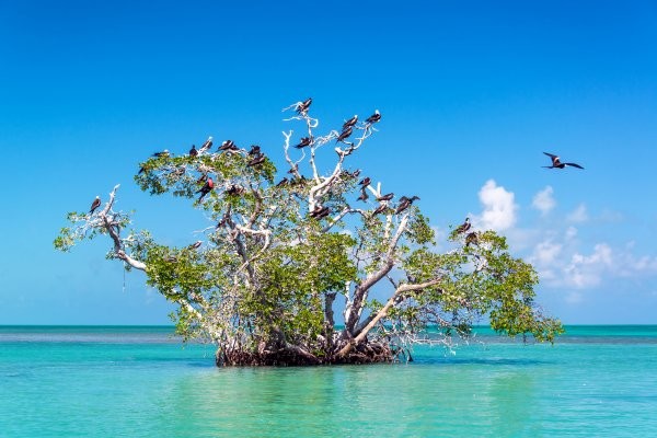 Circuit Fram Découverte Maya Et Plage Des Caraïbes 4