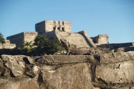 Mexique : Circuit Séjour de rêve au Yucatan